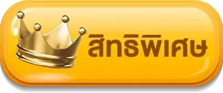 สิทธิพิเศษ world lotto